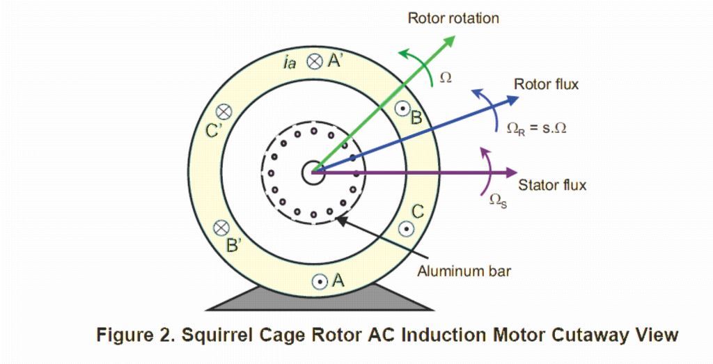 squirrel cage rotor 