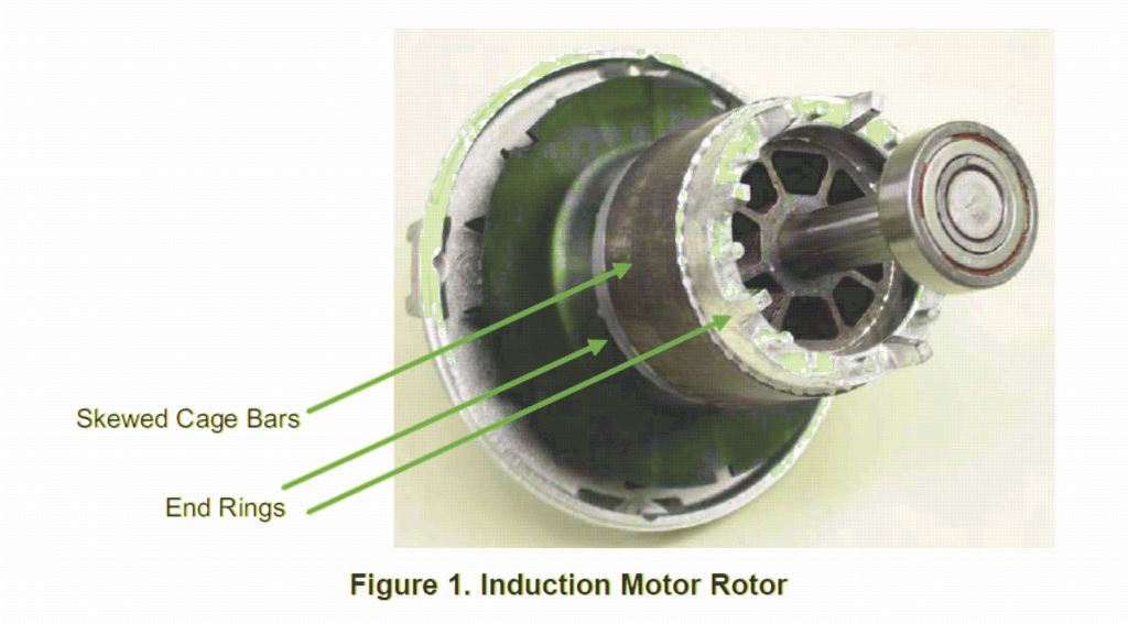 induction rotor