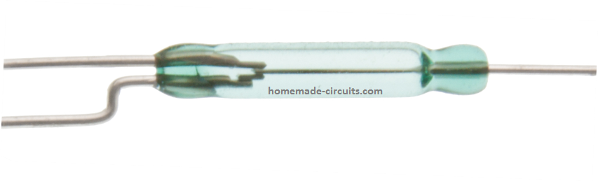 SPDT reed 1